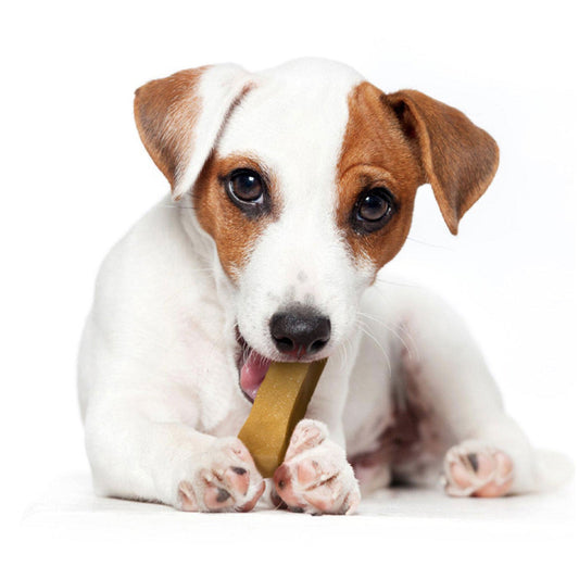 Yakers Dog Chew